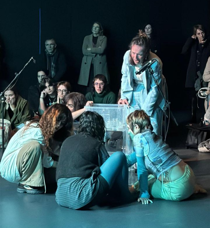 TRAVÉS, zeharkatze baten errelato bat